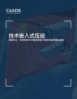 技术嵌入式压迫