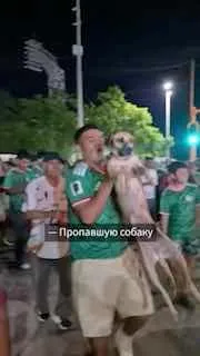 В Мексике пропавшую собаку нашли благодаря прямой трансляции ЧМ-2026